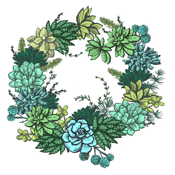 Decorative Colored Wreath Succulents — Stock Vector