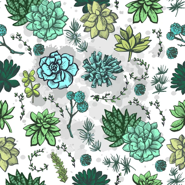 Modello Grafico Succulente Colorate — Vettoriale Stock