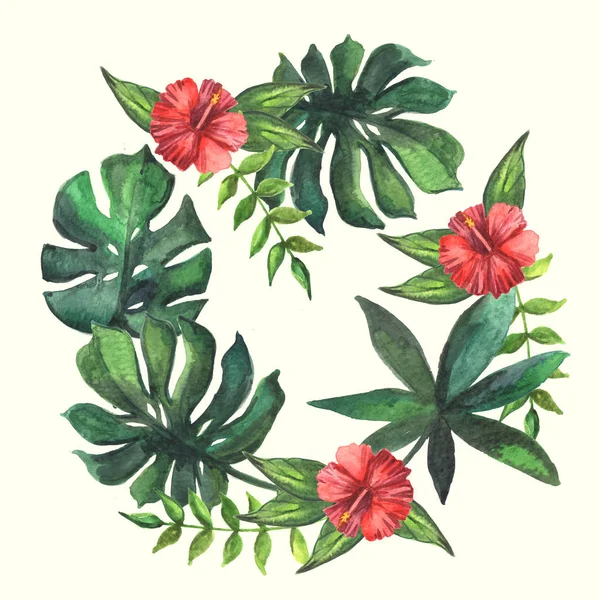 Watercolor Tropical Plants White Background — Stock Photo, Image