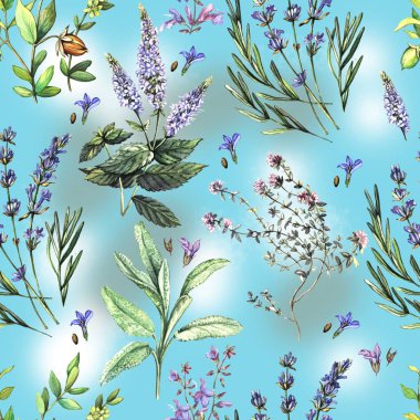 Yonca sulu boya kroki. Gerçekten suluboya resim.