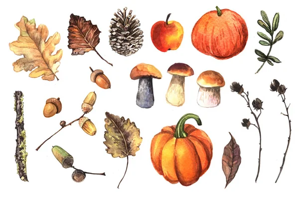Akvarel Podzimní Náčrtky Akvarel Ilustrace — Stock fotografie