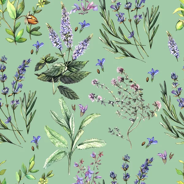 Watercolor decorative pattern with fragrant herbs