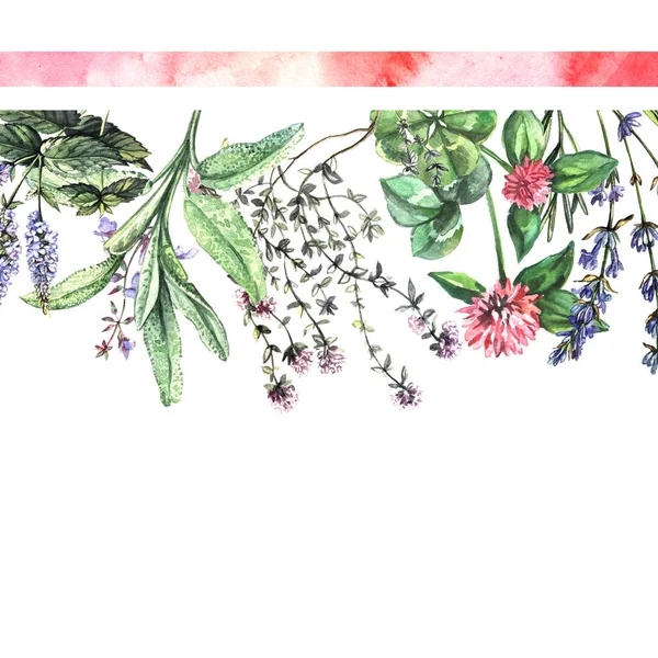 Illustration Aquarelle Aux Herbes Parfumées — Photo