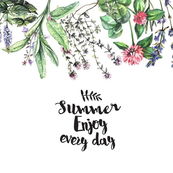Watercolor summer card with fragrant herbs