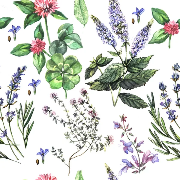 Akvarelu Letní Vzorek Voňavými Bylinkami — Stock fotografie