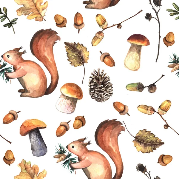 Watercolor Autumn Forest Pattern Squirrels Isolated White Background — Stock Photo, Image