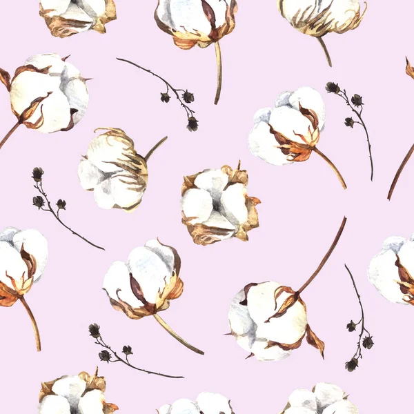 Watercolor Pattern Cotton Flowers — Stock Photo, Image