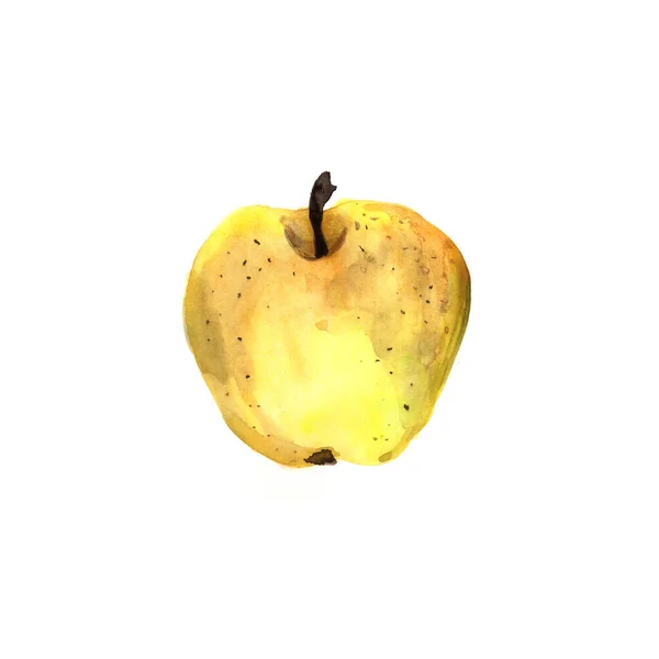 Ακουαρέλα Σκίτσο Κίτρινο Μήλο Πραγματική Ακουαρέλα — Φωτογραφία Αρχείου