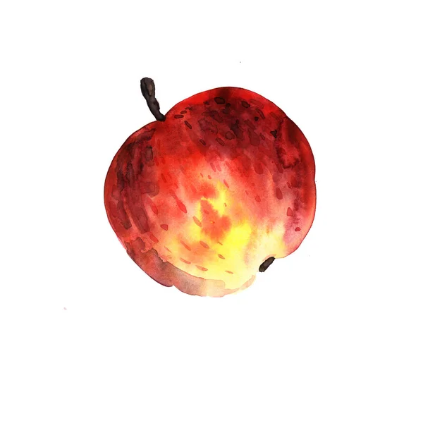 Aquarellzeichnung Roter Apfel Echtes Aquarell — Stockfoto