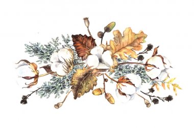 Beyaz arka plan üzerinde izole kış bitkileri ile nazik suluboya kompozisyon