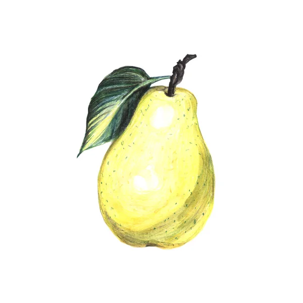 Bight Yellow Hand Drawn Pear Isolated White Background — Stock Photo, Image