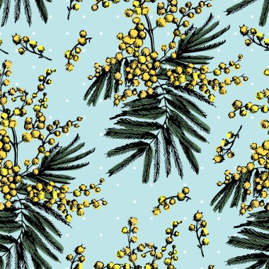 Mimoza grafik dekoratif desen. El çizimi. Dekoratif yüzeyler çeşitli sonsuz süs. Vintage motifi. 