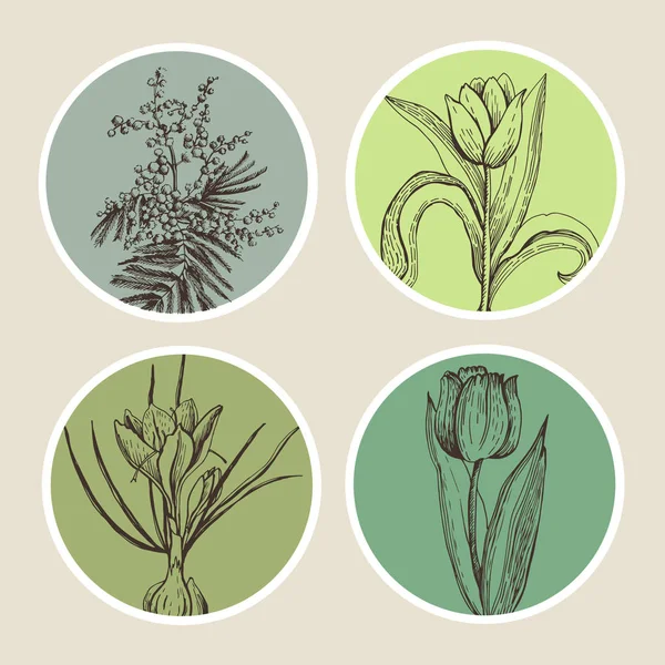 Pegatinas Gráficas Redondas Con Plantas Primavera Dibujo Manual Tulipanes Cocodrilos — Vector de stock