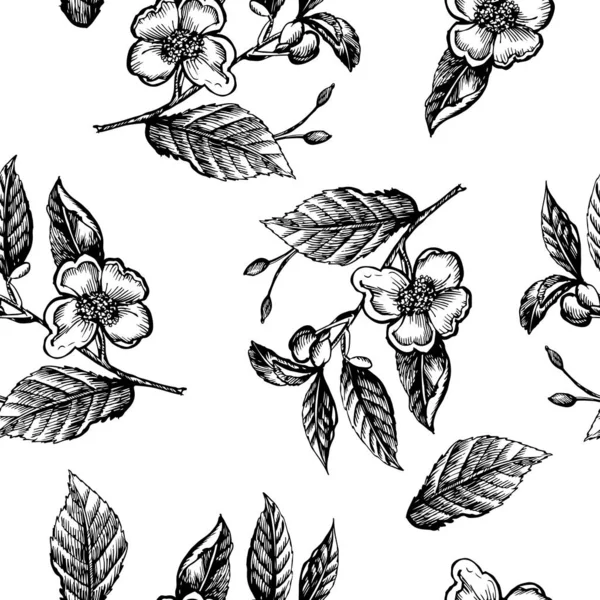 Grafisch patroon vintage bloemen — Stockvector