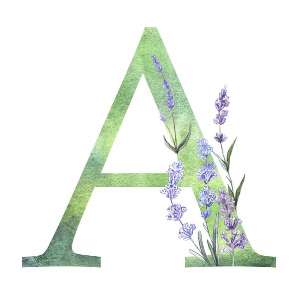 Watercolor Lavender Letter Isolated White Background — Stock Photo, Image