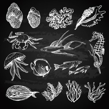 Kara tahtaüzerinde deniz görüntülerinin grafik seti, vektör çizimi