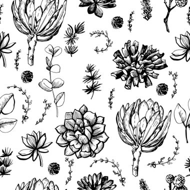 Protea ve beyaz arka plan üzerinde izole sulu ile dikişsiz desen