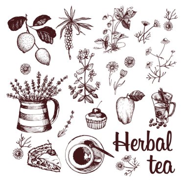 Bitkisel çay ve otlar kompozisyon beyaz arka plan üzerinde izole