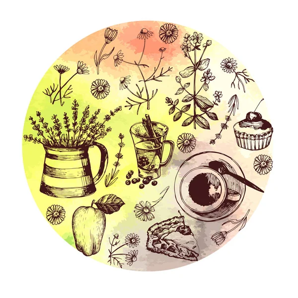 草本茶和草药着色成分 — 图库矢量图片