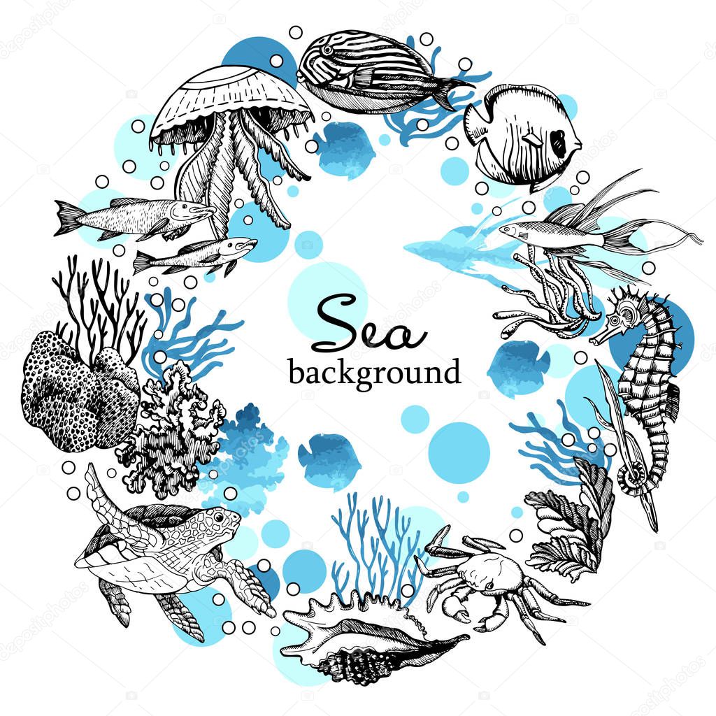 Sea background and marine animals