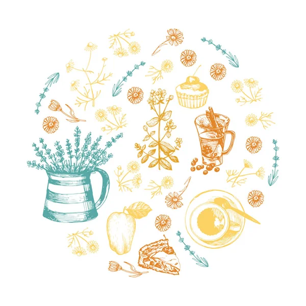 用草茶和草药作画的彩色插图 — 图库矢量图片