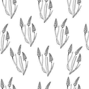 Muscari çiçekleriyle grafiksel desen