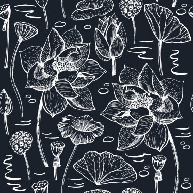 Grafiksiz Lotus vektör çizimi