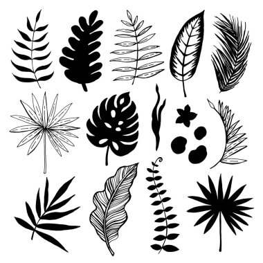 Tropikal Yapraklar Grafik Kümesi