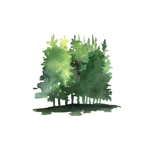 Croquis Aquarelle Logo Forêt Impression Couleur Illustration Pour Conception Cartes — Photo