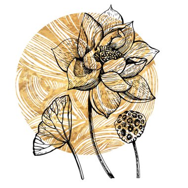 Grafik lotus vektör baskısı