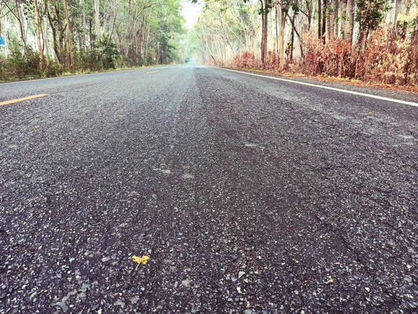 Estrada de asfalto — Fotografia de Stock