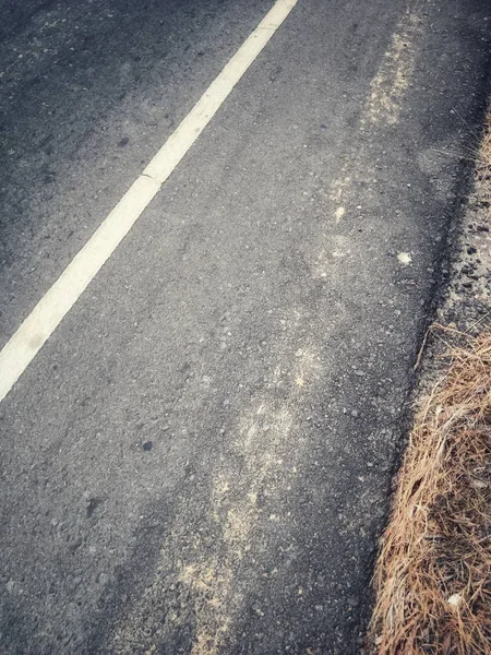 Het wegverkeer verf wit op het asfalt oppervlak — Stockfoto