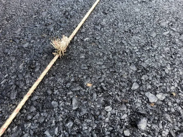 Road traffic paint White on the asphalt surface