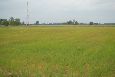 Bakım için su bulunmayan alanlar