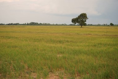 Bakım için su bulunmayan alanlar