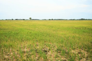 Bakım için su bulunmayan alanlar