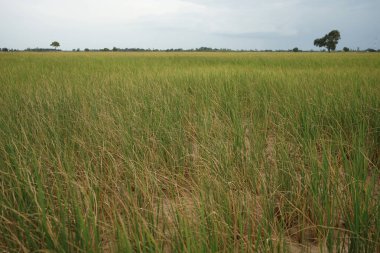 Bakım için su bulunmayan alanlar