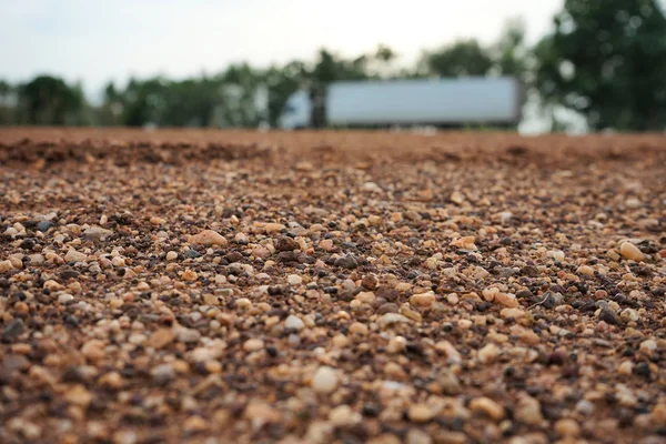 Strade rurali in campagna sono circondate da campi . — Foto Stock