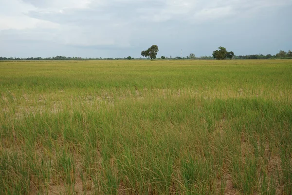 Bakım için su bulunmayan alanlar