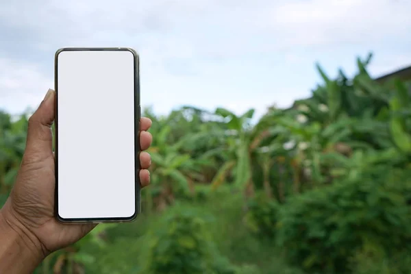 Móviles cara en blanco para llenar imágenes — Foto de Stock