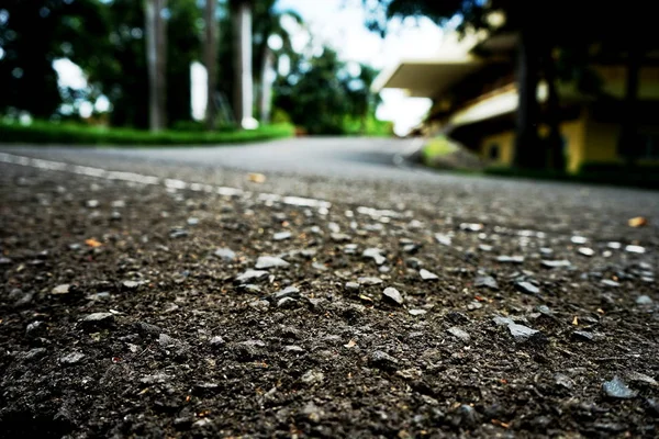 Road traffic paint on the asphalt surface