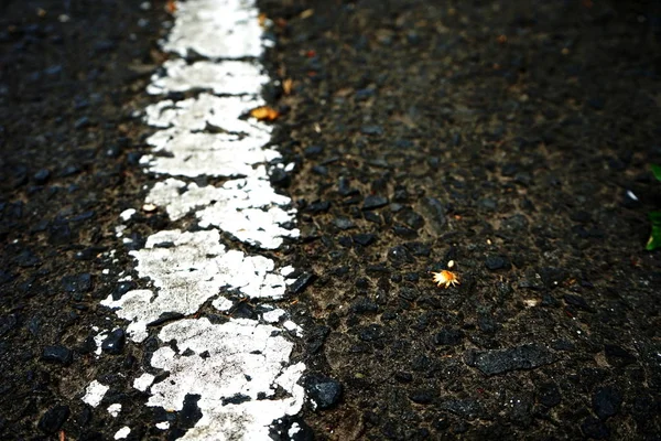 Road traffic paint on the asphalt surface