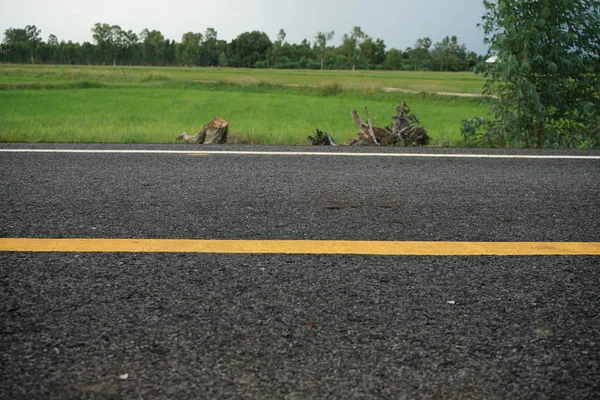 Road traffic paint Yellow on the asphalt surface