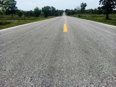 Yanındaki köy yolu pirinç tarlası..