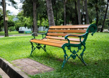 Tezgah ağacının altında güneşli gün güzel renkli sonbahar park.