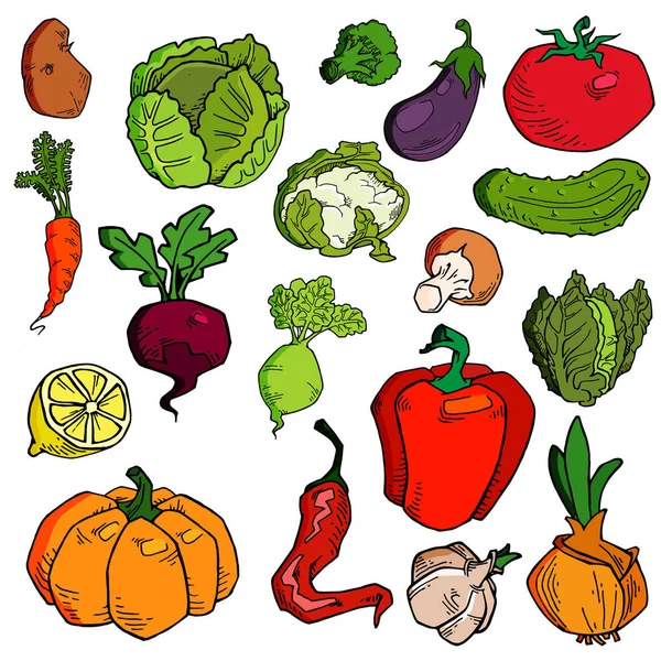 Σύνολο Από Διάφορα Χειροποίητα Λαχανικά Σκίτσα Από Διαφορετικά Τρόφιμα Απομονωμένα — Διανυσματικό Αρχείο
