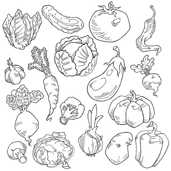 Jeu Vectoriel Légumes Dessinés Main — Image vectorielle