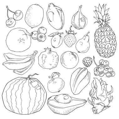 vektör kümesi farklı elle çizilmiş meyve