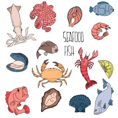 Set El deniz ürünleri, sağlıklı gıda çizimleri menü tasarımı için öğeleri ayarlayın. Vektör Illustration