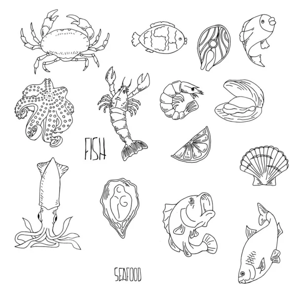 套手工绘制的海鲜 健康食品图纸设置元素的菜单设计 矢量插图 — 图库矢量图片